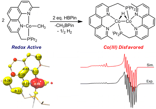 Evaluation of Cobalt Complexes Bearing Tridentate Pincer Ligands for Catalytic C–H Borylation