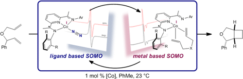 Cobalt-Catalyzed [2π + 2π] Cycloadditions of Alkenes: Scope, Mechanism, and Elucidation of Electronic Structure of Catalytic Intermediates