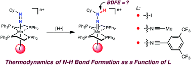 Thermodynamics of N–H bond formation in bis(phosphine) molybdenum(II) diazenides and the influence of the trans ligand