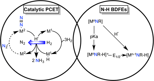 Catalytic Proton Coupled Electron Transfer from Metal Hydrides to Titanocene Amides, Hydrazides and Imides: Determination of Thermodynamic Parameters Relevant to Nitrogen Fixation