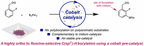 C(sp2)–H Borylation of Fluorinated Arenes Using an Air-Stable Cobalt Precatalyst: Electronically Enhanced Site Selectivity Enables Synthetic Opportunities