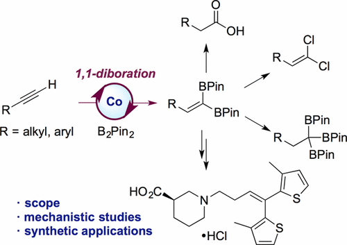 Cobalt-Catalyzed 1,1-Diboration of Terminal Alkynes: Scope, Mechanism, and Synthetic Applications