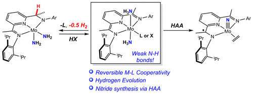 Ammonia Activation, H2 Evolution and Nitride Formation from a Molybdenum Complex with a Chemically and Redox Noninnocent Ligand