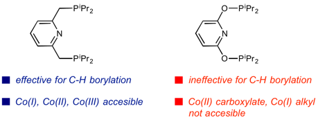 Insights into Activation of Cobalt Pre-Catalysts for C(sp2)–H Functionalization