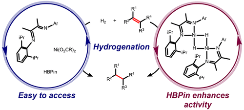 Air-Stable α-Diimine Nickel Precatalysts for the Hydrogenation of Hindered, Unactivated Alkenes