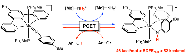 Interconversion of Molybdenum Imido and Amido Complexes by Proton-Coupled Electron Transfer