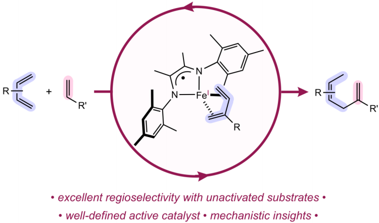 Selective [1,4]-Hydrovinylation of 1,3-Dienes with Unactivated Olefins Enabled by Iron Diimine Catalysts