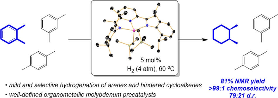 Pyridine(diimine) Molybdenum-Catalyzed Hydrogenation of Arenes and Hindered Olefins: Insights into Precatalyst Activation and Deactivation Pathways