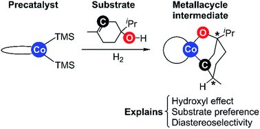 Cobalt-catalysed alkene hydrogenation: a metallacycle can explain the hydroxyl activating effect and the diastereoselectivity