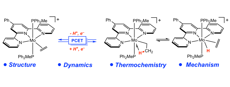 Proton-Coupled Electron Transfer to a Molybdenum Ethylene Complex Yields a β-Agostic Ethyl: Structure, Dynamics and Mechanism