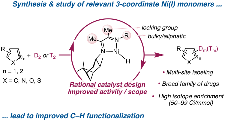 Ni(I)–X Complexes Bearing a Bulky alpha-Diimine Ligand: Synthesis, Structure and Superior Catalytic Performance in the Hydrogen Isotope Exchange of Pharmaceuticals