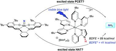 Evaluation of excited state bond weakening for ammonia synthesis from a manganese nitride: stepwise proton coupled electron transfer is preferred over hydrogen atom transfer