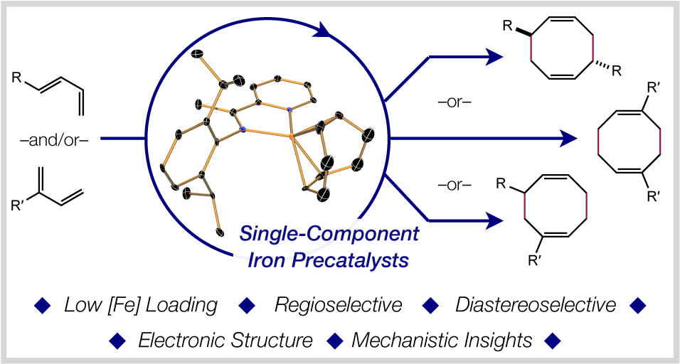 Regio- and Diastereoselective Iron-Catalyzed [4+4]-Cycloaddition of 1,3-Dienes