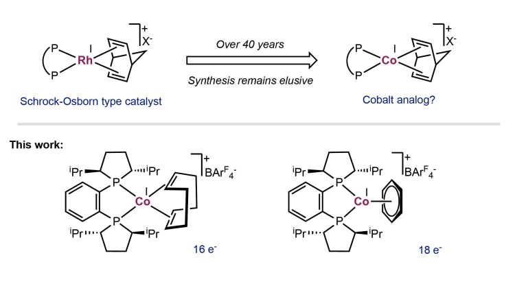 Syntheses and Catalytic Hydrogenation Performance of Cationic Bis(phosphine) Cobalt(I) Diene and Arene Compounds