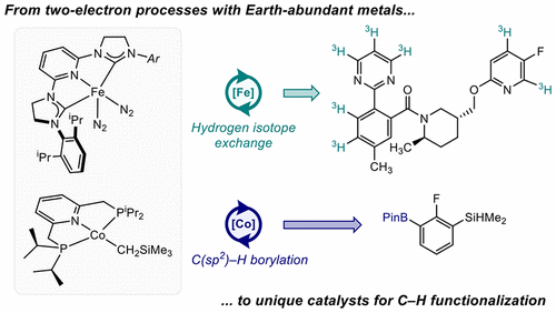 Enabling Two-Electron Pathways with Iron and Cobalt: From Ligand Design to Catalytic Applications