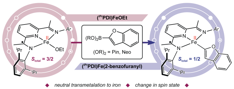 Direct Observation of Transmetalation from a Neutral Boronate Ester to a Pyridine(diimine) Iron Alkoxide