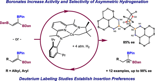 A Boron Activating Effect Enables Cobalt-Catalyzed Asymmetric Hydrogenation of Sterically Hindered Alkenes