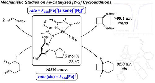 Investigations into the Mechanism of Inter- and Intramolecular Iron-Catalyzed [2+2] Cycloaddition of Alkenes