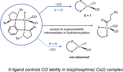 Synthesis and Reactivity of Organometallic Intermediates Relevant to Cobalt-Catalyzed Hydroformylation