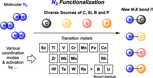 Beyond Ammonia: Nitrogen–Element Bond Forming Reactions with Coordinated Dinitrogen