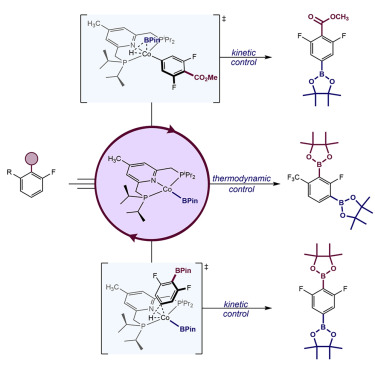 Mechanistic Origins of Regioselectivity in Cobalt-Catalyzed C(sp2)–H Borylation of Benzoate Esters and Arylboronate Esters