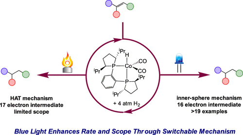 Visible-Light-Enhanced Cobalt-Catalyzed Hydrogenations: Switchable Catalysis Enabled by Divergence between Thermal and Photochemical Pathways