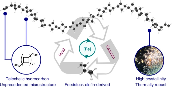 Iron-catalysed synthesis and chemical recycling of telechelic 1,3-enchained oligocyclobutanes