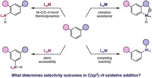 A Tutorial on Selectivity Determination in C(sp2)–H Oxidative Addition of Arenes by Transition Metal Complexes