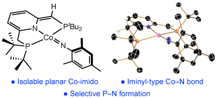 Synthesis, Electronic Structure, and Reactivity of a Planar Four-Coordinate, Cobalt–Imido Complex