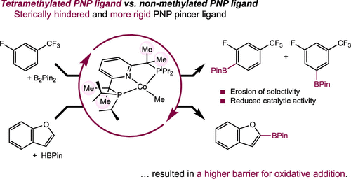 Effect of Pincer Methylation on the Selectivity and Activity in (PNP)Cobalt-Catalyzed C(sp2)–H Borylation