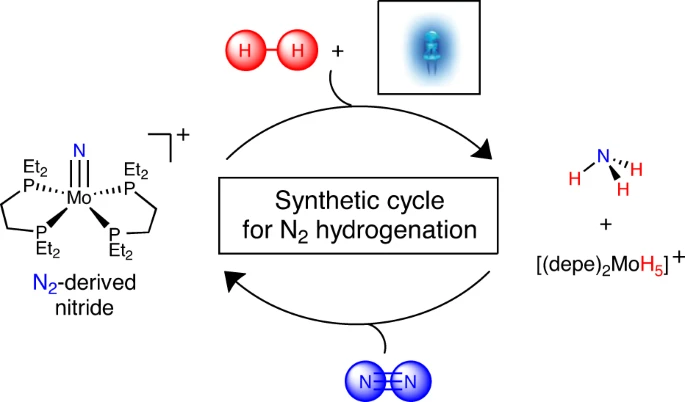 Ammonia synthesis by photocatalytic hydrogenation of a N2-derived molybdenum nitride