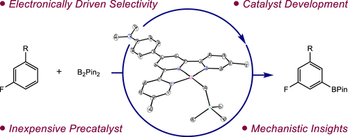 Development of Cobalt Catalysts for the meta-Selective C(sp2)–H Borylation of Fluorinated Arenes