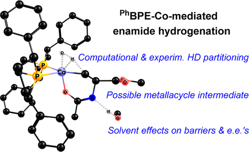 Cobalt-Catalyzed Asymmetric Hydrogenation of Enamides: Insights into Mechanisms and Solvent Effects