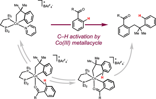 C–H Activation by Isolable Cationic Bis(phosphine) Cobalt(III) Metallacycles